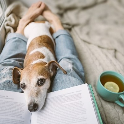 Changes to pet rules & tenant discrimination