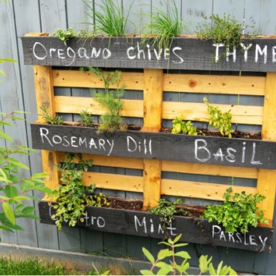Upcycling in the garden: 10 creative ways to reuse household waste